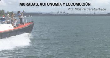 Muestra final del curso Terrenos Coreográficos