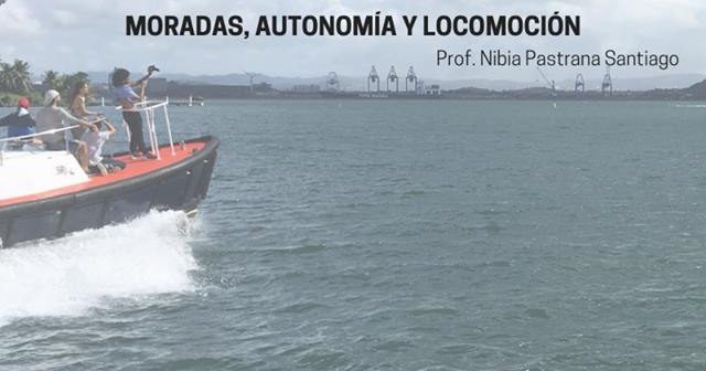 Muestra final del curso Terrenos Coreográficos
